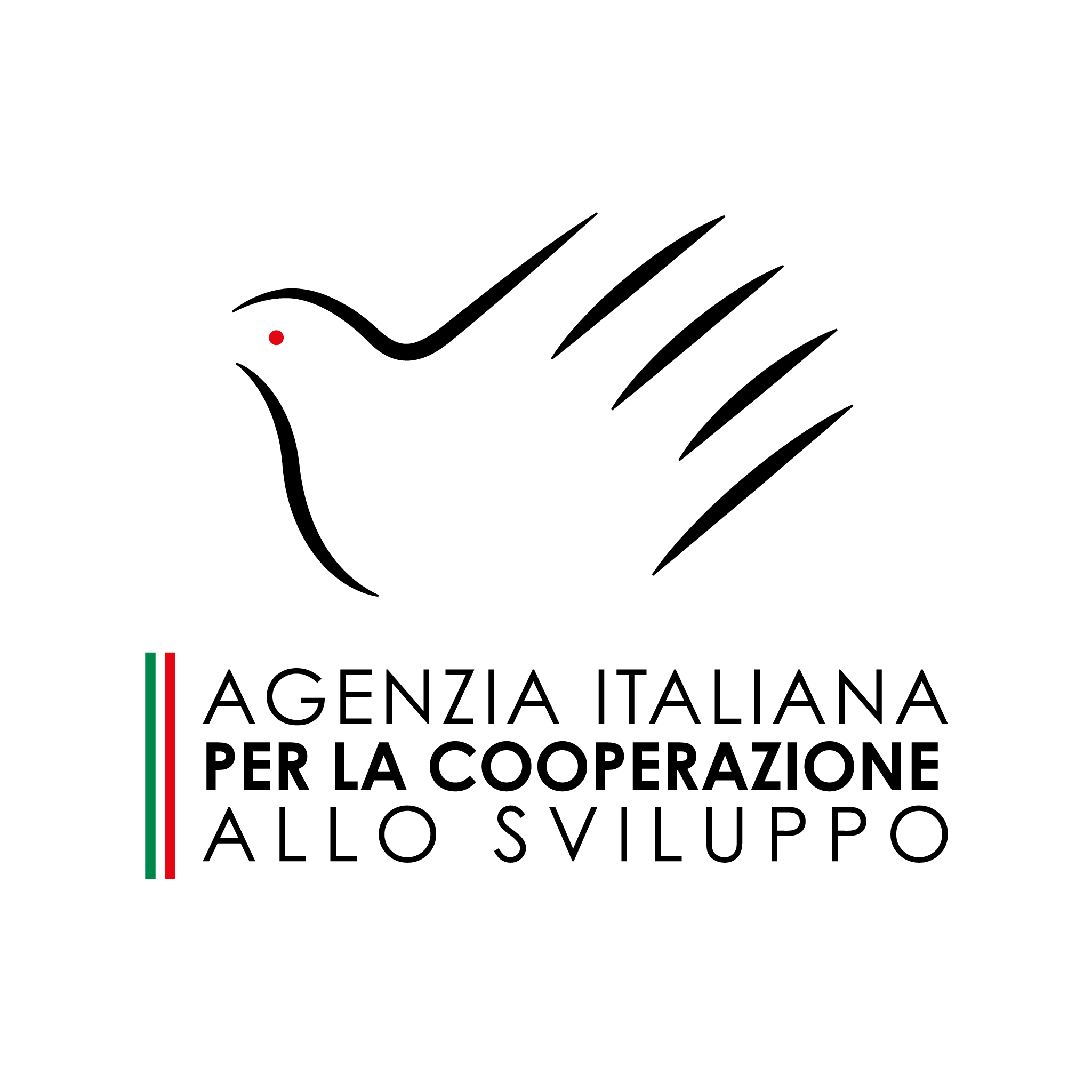 nome fondazione